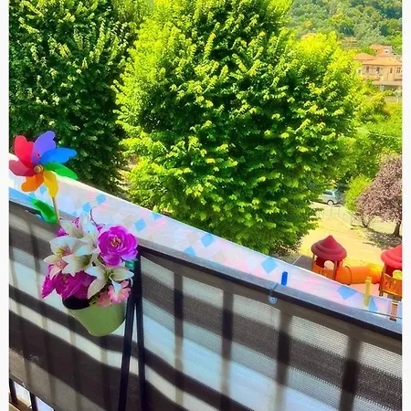 度假居 Dodo House *